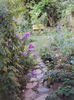 DSC04978