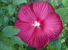 IMG_20150901_072814