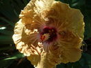 P1230816