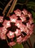 20150901_221925