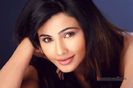 Daisy Shah