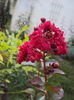 DSC05935