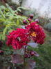 DSC05904