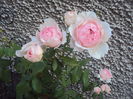 DSC05027