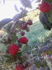 septembrie