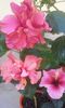 20150902_112740