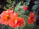 DSC05144