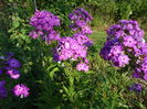 DSC00154