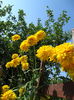 DSC00161
