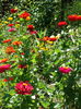 DSC00298
