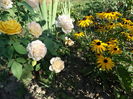 DSC00361