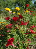 DSC00363