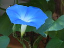 jumatatea lui august