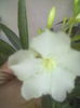 ABCD0014