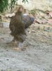 IMG_20150902_185056