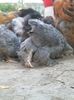 IMG_20150902_185148