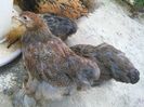 IMG_20150902_190358