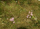 DSCN4680