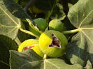 DSCN0023