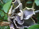 P1230860