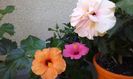 20150903_112150