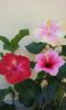 20150903_112824