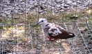 IMG_20150903_141711
