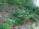 DSCN4694