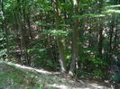 DSCN4702