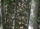 DSCN4706