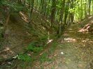 DSCN4720