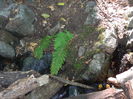 DSCN4729