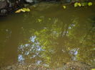 DSCN4736