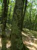 DSCN4744