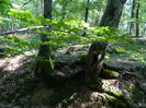 DSCN4748