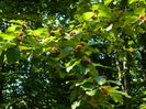 DSCN4753