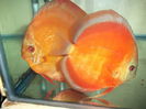 DSCF8124