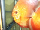 DSCF8125