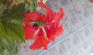 20150829_153350