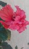 20150829_153308