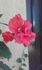 20150829_153318