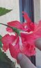 20150829_153330