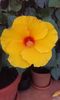 20150829_153454