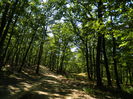 DSCN4766
