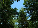 DSCN4768
