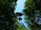 DSCN4771