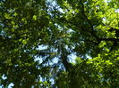 DSCN4776