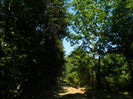 DSCN4787