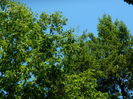 DSCN4789