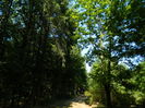 DSCN4790